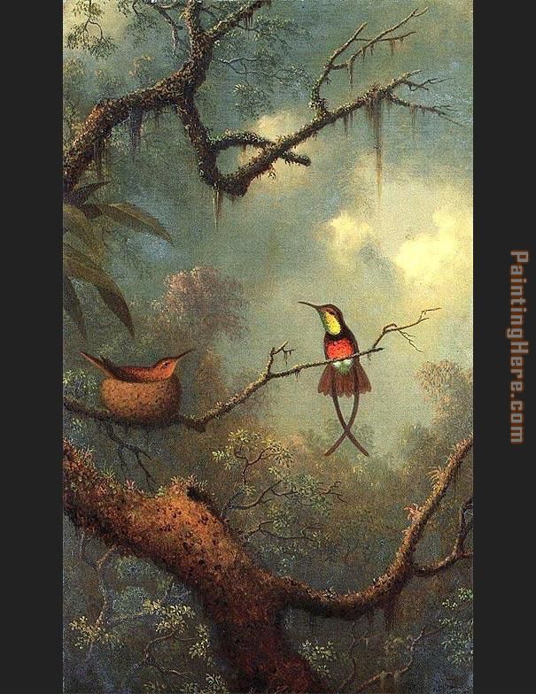 Hummingbirds 1870